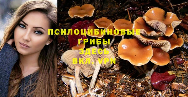 mdma Заволжск