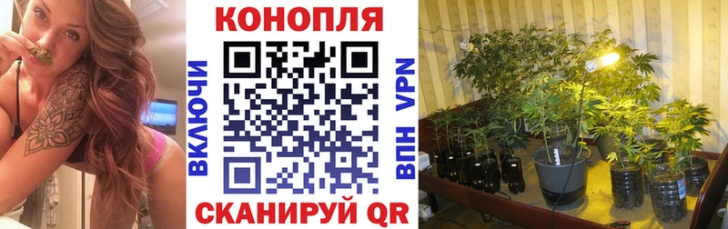Марихуана марихуана  darknet как зайти  Катайск  цена  